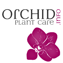 Orchid care, guides, and tips. Information on Dendrobium, Phalaenopsis, and more!