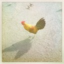 Kerry Egan - @Kerryegan - Twitter