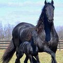 dixie mcclain - @dixiemcclain9 - Twitter