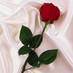 sexo y placer (@eroticasplacer) Twitter profile photo