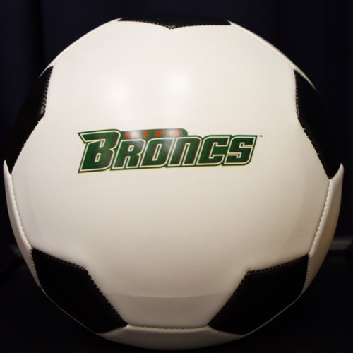 UTPAWSoccer's profile picture. The official Twitter feed of the University of Texas Pan American women's soccer team.
Head Coach - Glad Bugariu