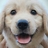 Ae_Api's profile image