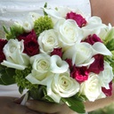 Sara Macon - @SaraMacon3 - Twitter