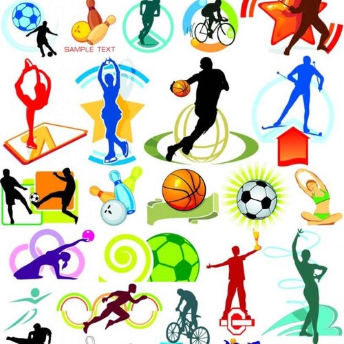 Analyst of Sports