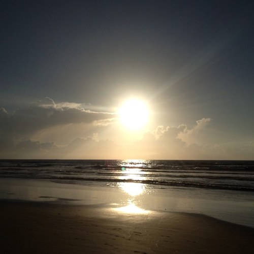 APO_Solar's profile picture. 