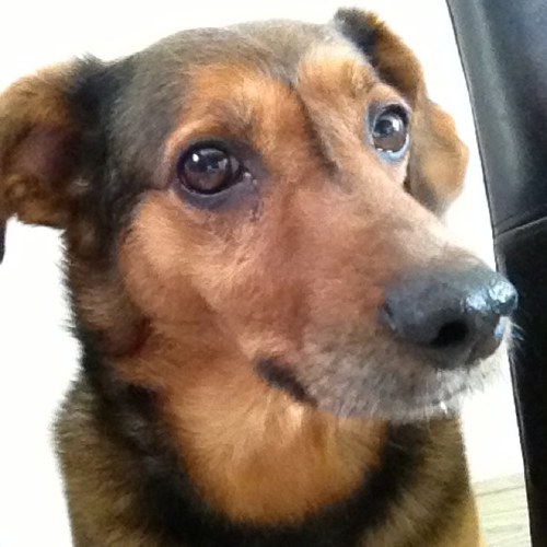 WillemBijl112's profile picture. 