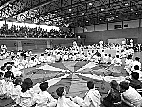 Judoka. El que quiere algo encuentra el medio y el que no una escusa. Danny Adicta.