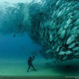 BoutaibiM's profile picture. 