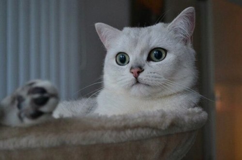 AndyNg369's profile picture. 