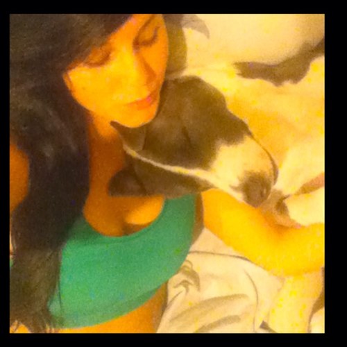 nicolesuebrown's profile picture. Pitbull Advocate - Conservative - Seattle  Follow me on instagram: nicolesueb