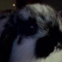 Lia Amber - @Lia_Amber_541 - Twitter