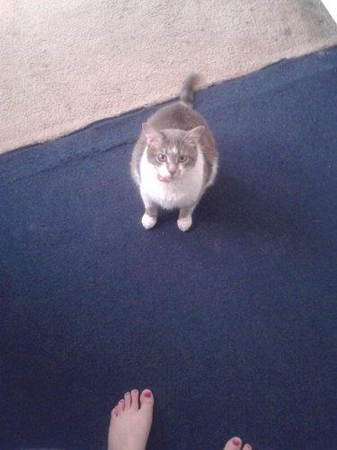 HoustonSphero76's profile picture. 