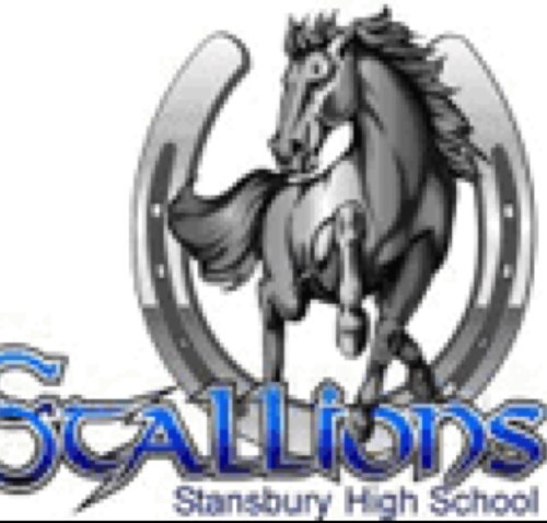 Stansbury Stallions Profile