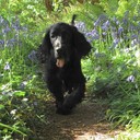 Patrick Power - @patrickpower3 - Twitter