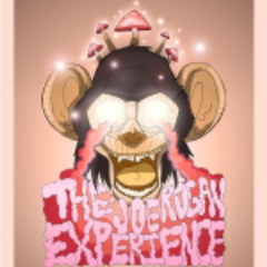 The Joe Rogan Experience.