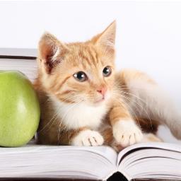 october202010's profile picture. 