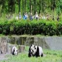 Irma Miller - @IrmaMiller9 - Twitter