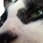 LEANDRO_PEREIRA's profile image