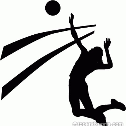 Volleyball player
