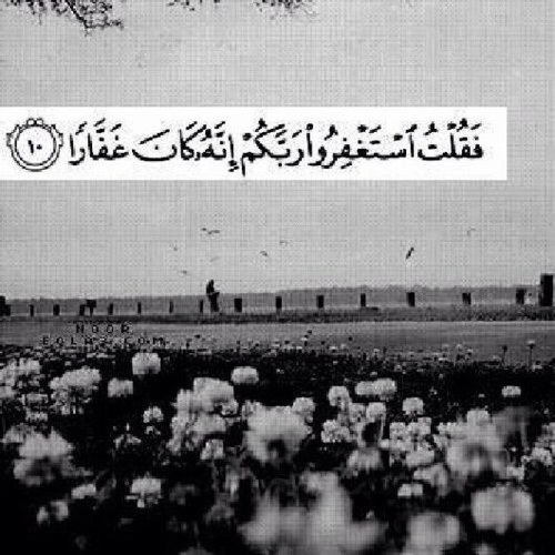وامنيتي أن احظى بتلك الجنة التي لا يتسللها حزنًا ولا يباغتها همًا . ( سبحان الله وبحمده سبحان الله العظيم ) ❤