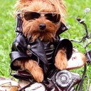 Katelyn Ann Dolan - @DolanKatelyn - Twitter