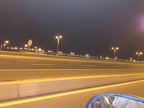 falconqat's profile picture. 