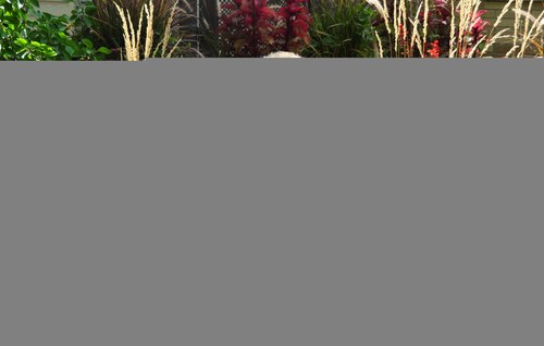 TiaHemesath's profile picture. Avid Reader, Loves to dig in dirt and plant, Enjoys losing self into favorite music, Proud mother, Devoted wife, and a Nurse