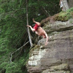 live young always