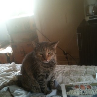 debmc32's profile picture. 