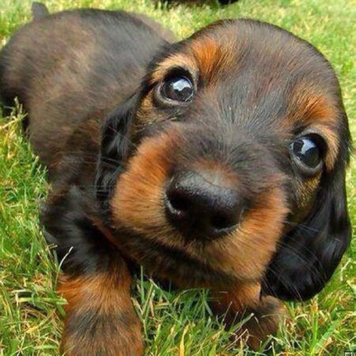 Marwa_Emad's profile picture. Well! it's me!