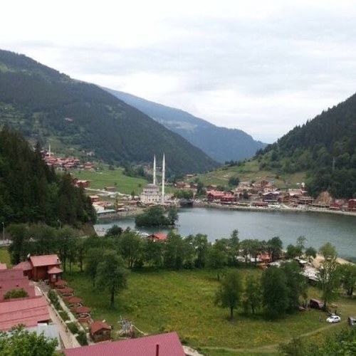 abuhawat's profile picture. 