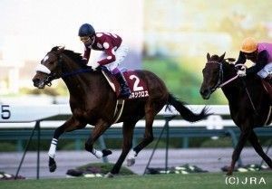 競馬歴20年越え、馬券は知的センスで閃き重視！