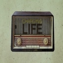 Freda Watson - @FredaWatson10 - Twitter