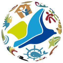 NikoTinbergen's profile picture. 