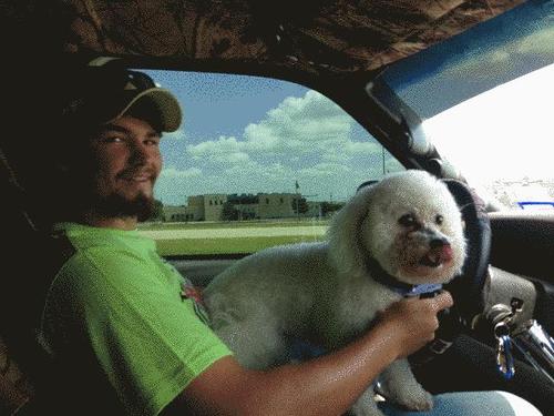 stackedsteve's profile picture. 