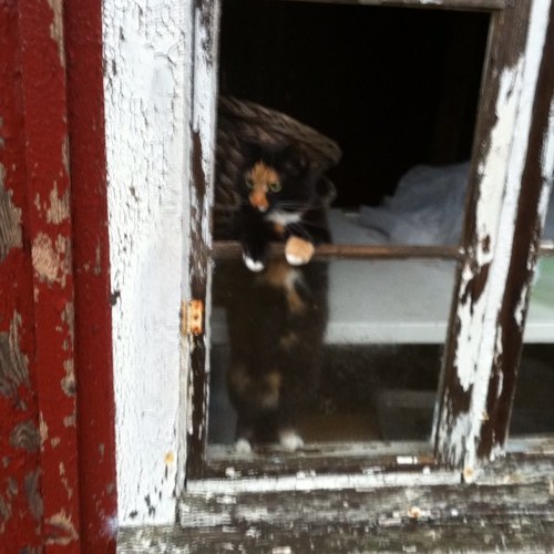 MagnusSjoqvist's profile picture. Musiker och gymnasielärare i musik