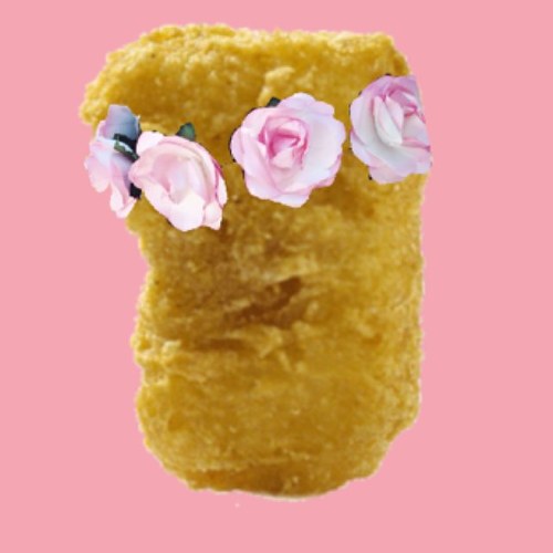 I are a nugget. Your argument is invalid.