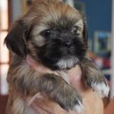 Janet McGregor - @Janetmacbt - Twitter