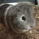 Beth Hogan - @Beth_HoganXx - Twitter