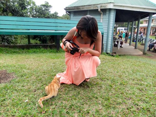 onionannie41's profile picture. Cat lover, shopper, food lover, loves travelling, sun & beaches, new tech gadgets