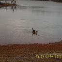 Joyce Boles - @bolesbj - Twitter