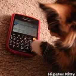 dlsbootcamp's profile picture. I live in the rural mountains NE of Asheville, NC.