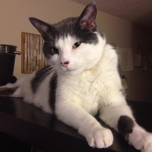 djsquirrelhands's profile picture. 