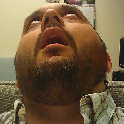 Website Builder, Sarcasm Supplier.