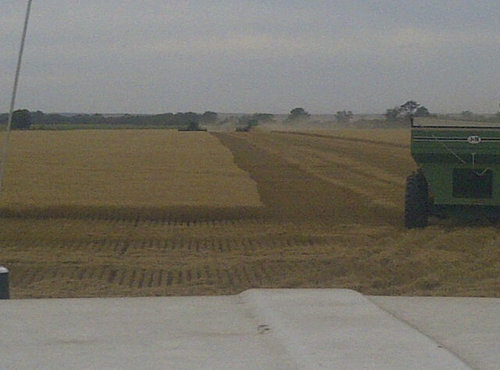 Farmer, Rancher and Seed Dealer