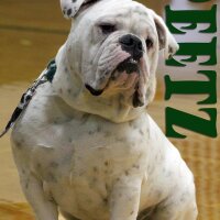 Peetz School (@peetzschool) 's Twitter Profile