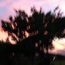 stephanie clement - @stephan37698607 - Twitter