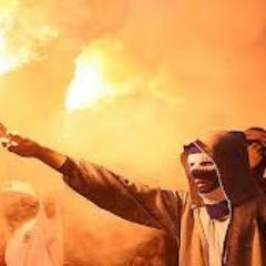 algoker30's profile picture. algoker