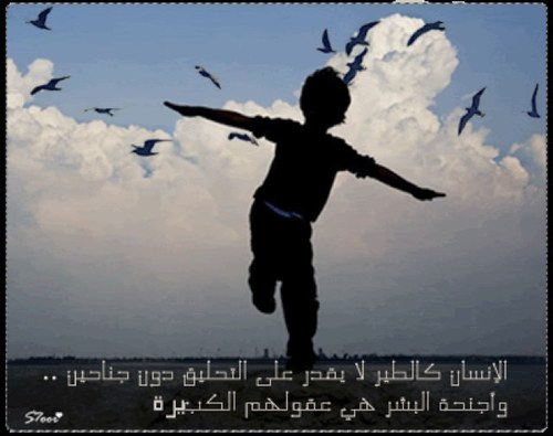 ..حــي اللـه مـن درعـــم و سوالــي Follow ♥ ياهلا من نور حسااابي لي منكم كل الشكر والتقدير ❤