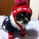 Odell Robles - @OdellRobles2 - Twitter